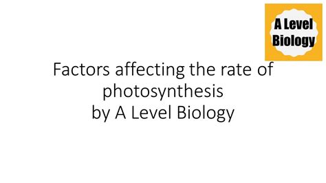 Factors Affecting The Rate Of Photosynthesis A Level Biology YouTube