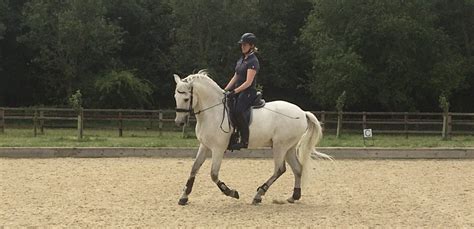 Horse Riding School Swindon Marlborough Hungerford Devizes