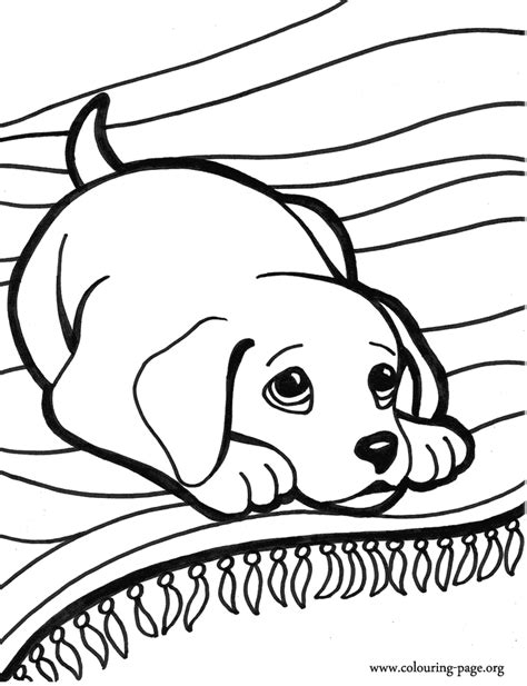 Train motor skills imagination, and patience of children, develop motor skills, train concentration, train children to know the color, train children to choose a color combination and. Free Coloring Pages With Cute Puppies, Download Free ...