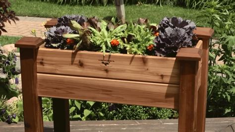 The Secret To Growing A Container Vegetable Garden Garden Ideas And Outdoor Decor