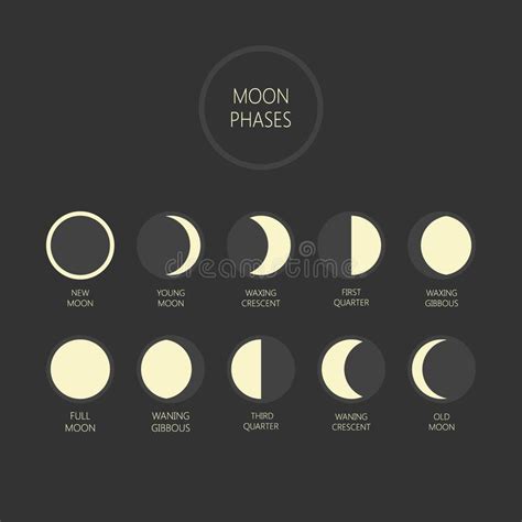 Lunar Phases Vector Illustration Moon Phase Cycle New Moon Full Moon