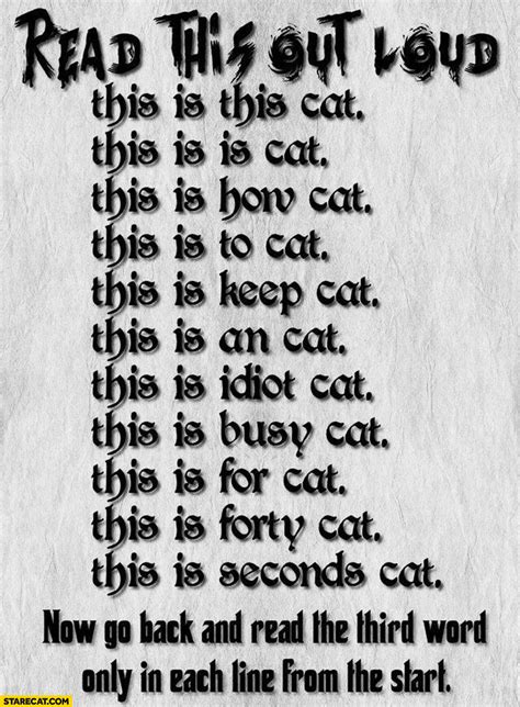 Read This Out Loud This Is This Cat This Is How To Keep An Idiot Busy