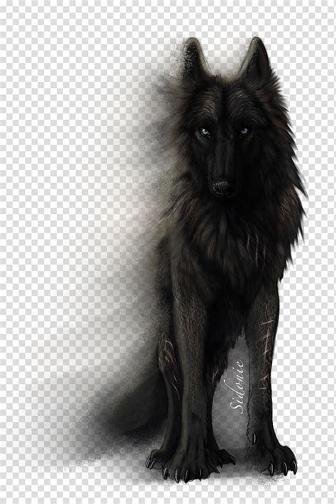 They are considered to be of most population in this area. Black wolf illustration, Drawing Dog YouTube, wolf ...