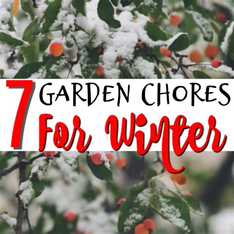7 Garden Chores To Do Before Winter