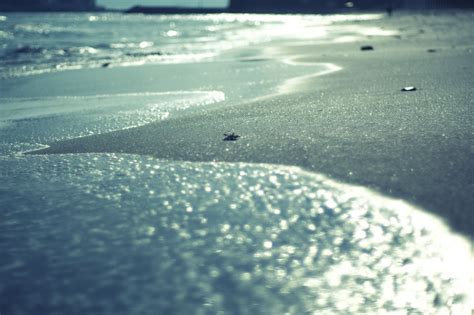 Masaüstü Güneş ışığı Manzara deniz Su Kıyı kum Yansıma