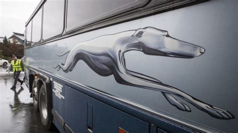 Passenger Stops Greyhound Bus When Driver Falls Unconscious
