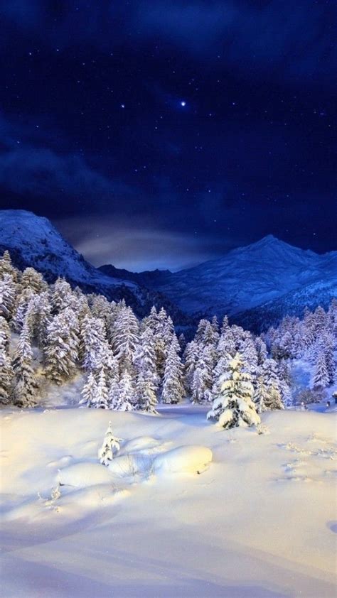 Winter Snow Forest 3d Android Smartphone Wallpaper