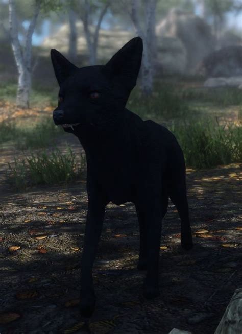 Black Fox Beyond Skyrim