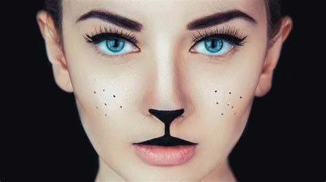 Very Simple Cat Makeup For Halloween Cuteanimals