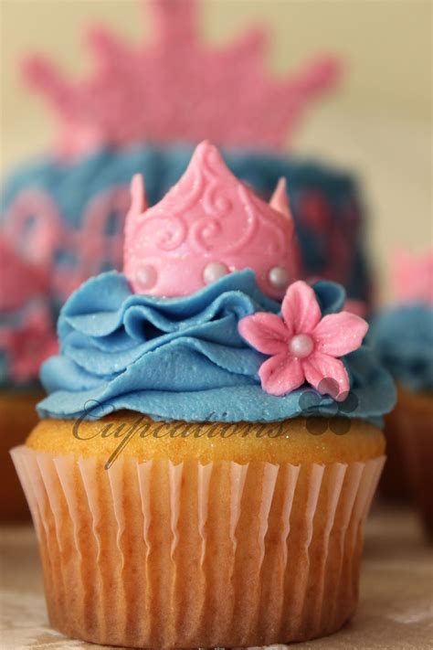 Cupcations Princess Cupcakes