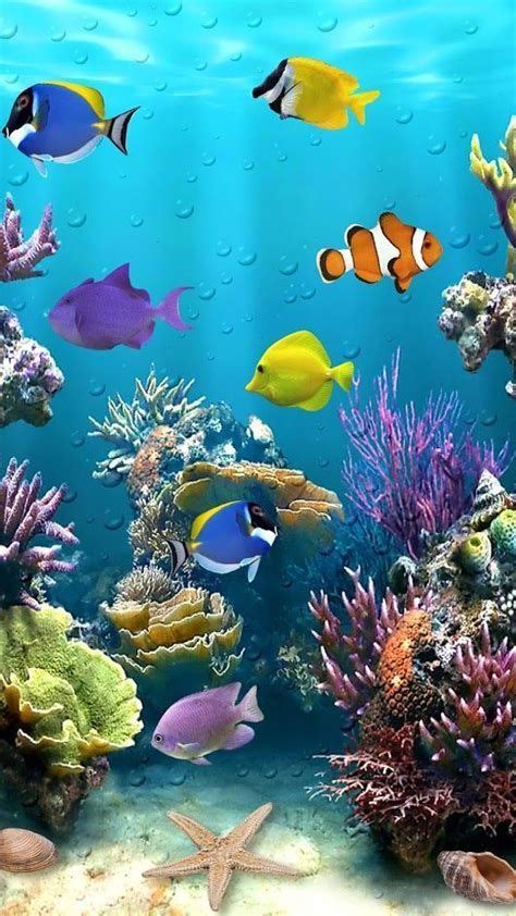 Fondos De Pantalla Acuario 🐟 Peces En Movimiento For Aquarium Live
