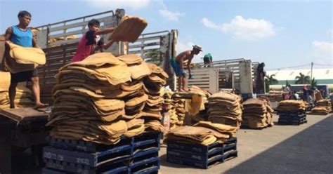 Tripura Begins Rubber Export To Nepal Maritime Gateway