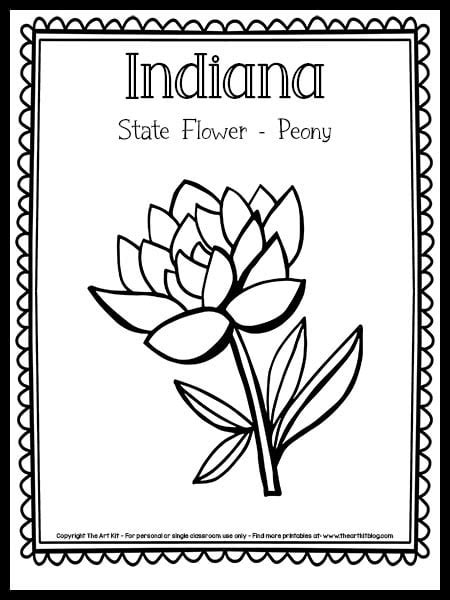Us State Flowers Coloring Pages