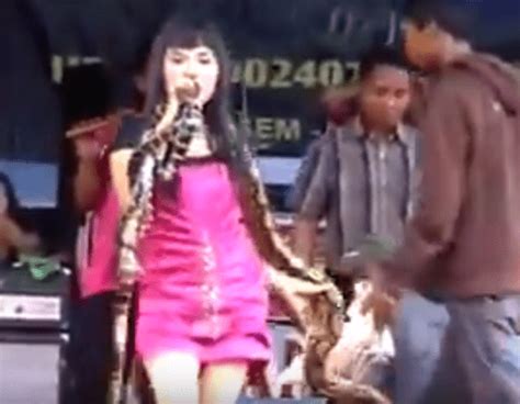 Performer Keeps Singing After Cobra Bites Her On Stage Then Dies