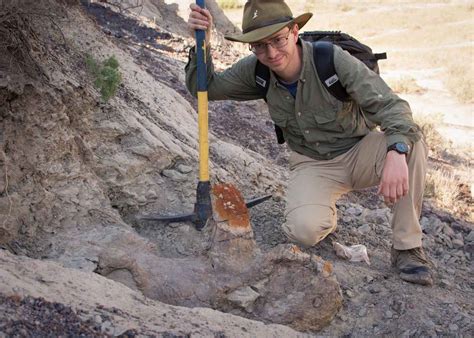 Dinosaur Skull Turns Paleontology Assumptions On Their Head Faculty
