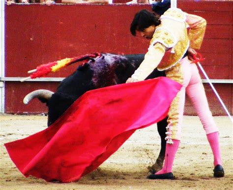 Ganaderia Antonio San Roman Humanes Los Tres Toreros A Hombros En