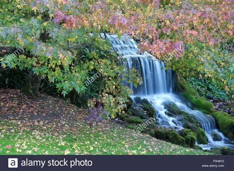 Autumn Leaves Overhang A Picturesque Waterfall Flowing From Bridehead