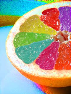 Select from premium orange fruit of the highest quality. olive juice.: colorful fruit