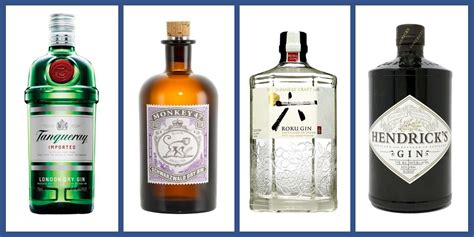 17 Best Gin Brands 2022 Top Gin Bottles To Buy For Gin And Tonics