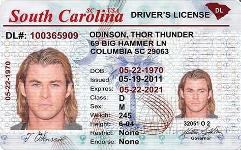 South Carolina Sc Drivers Licence Id Viking