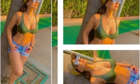 ameesha patel gets trolled badly for showing cleavage in a bikini cinetalkers