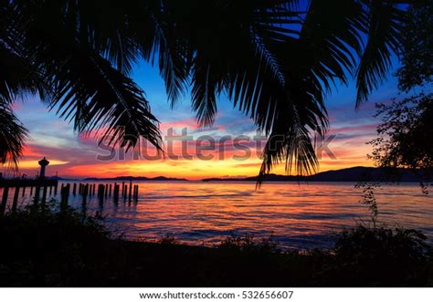 Beautiful Silhouette Coconut Palm Tree Lighthouse Stock Photo Edit Now