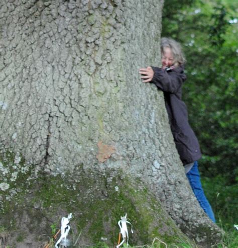 Acts Of Tree Kindness Trees As Sentient Beings Climate Museum Uk
