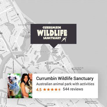 We did not find results for: Things to do Gold Coast, Activities | Currumbin Wildlife ...