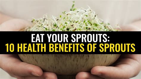 Eat Your Sprouts 10 Health Benefits Of Sprouts Youtube
