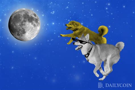 Dog Race Between Shib And Doge Which Memecoin Will Go To The Moon First