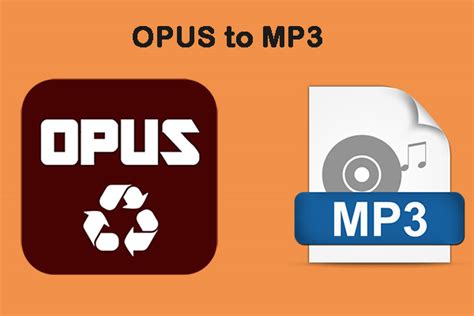 Opus To Mp How To Convert Opus To Mp For Free Minitool Video Hot Sex