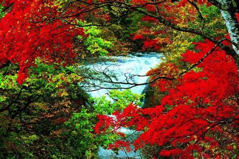 Pin By Angela Retchko On My Red Waterfall Landscape Nature Wallpaper