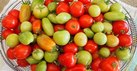 How To Store Tomatoes From The Garden Gardeners Path