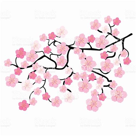 Japanese Pink Flower Tree Drawing 2sisterswalkinginfaith