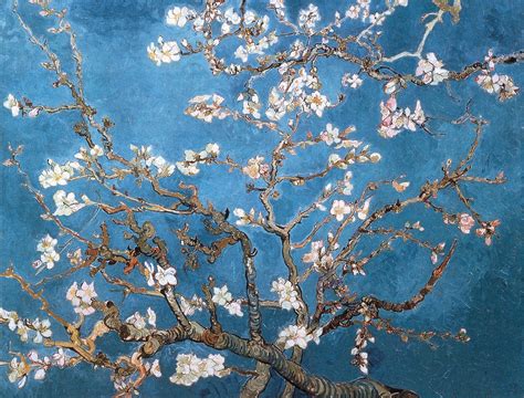 Van Gogh Cherry Blossom Wallpaper Finest Wallpapers