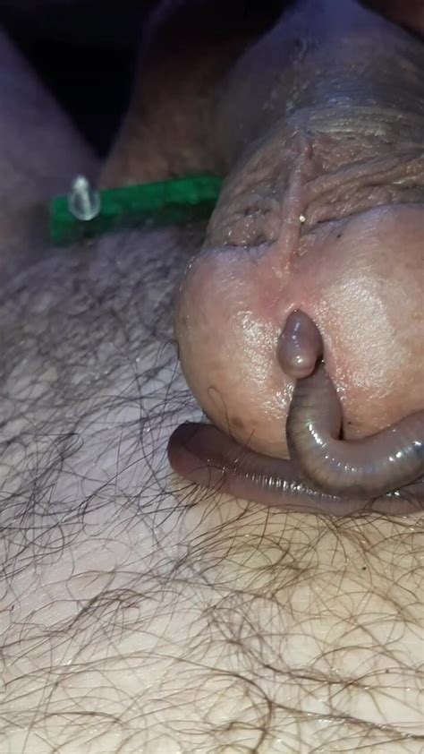 Wormen Worms Crawl Out Of My Cock