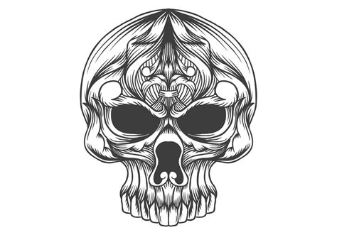 Skull Head Decoration Vector Illustration 691604 Download Free