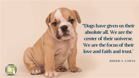 A Dog Will Love You Unconditionally Quotes