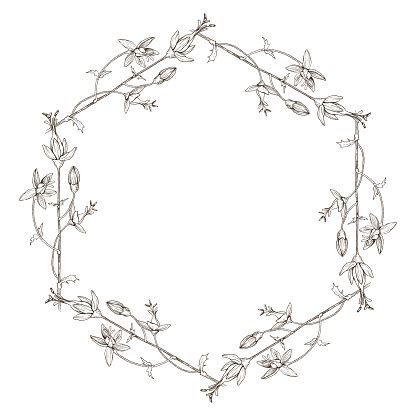Download Hexagon Wreath Of Wild Herbal Flowers Vector Hand Drawn ...