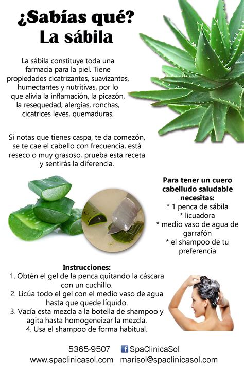 Esta función es gracias al contenido de germanio, un oligoelemento que, además de fomentar un ambiente hostil para las patologías, sirve de transporte para que otros. Pin en Cuidado del cabello