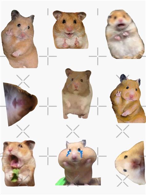 Mega Pack Hamster Memes Peace Sign And Screaming Hamster Sticker For