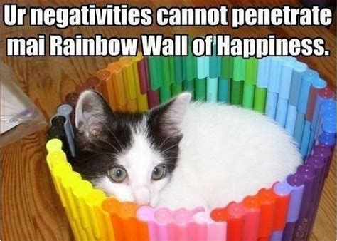 Anti Grumpy Cat Wall Meme By Meow518 Memedroid