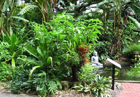 Maybe you would like to learn more about one of these? Selby Gardens, Sarasota, Fl. | Plants, Garden, Sarasota