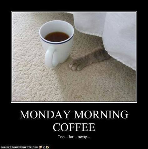 Stream tracks and playlists from monday morning on your desktop or mobile device. Monday Morning Coffee Pictures, Photos, and Images for ...