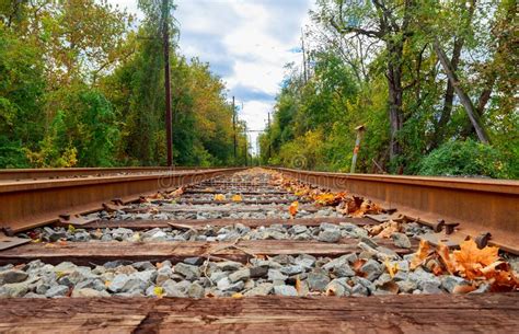 Railroad To Horizon In Autumn Stock Photo Image Of Dreamy Nature