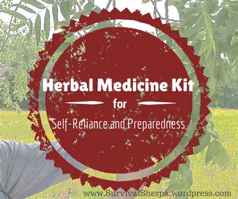 Herbal Medicine Kit | Medicine kit, Herbal medicine, Herbalism