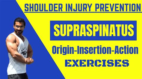 Tips To Prevent Shoulder Injury Supraspinatus Origin Insertion Actions Youtube