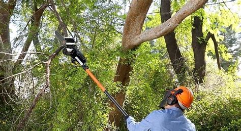 How To Use A Pole Saw 10 Basic Tips Cutting Tree Branches
