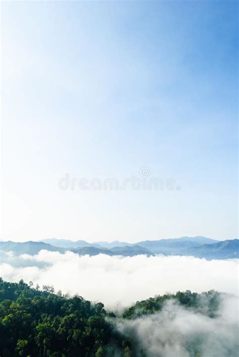 Morning Mist At Khao Panoen Thung On Kaeng Krachan National Park Stock