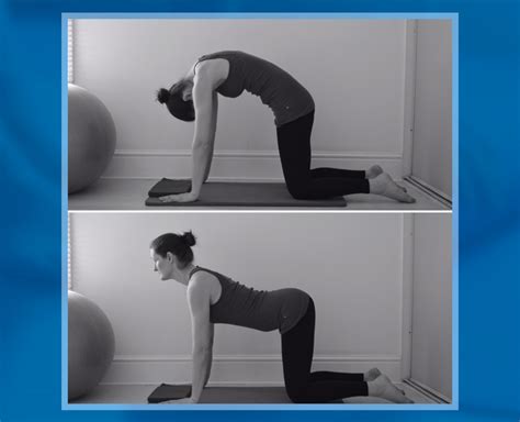 It improves spine mobility and relaxes your muscles. International Yoga Day 2019: Have Back Pain? Practice ...